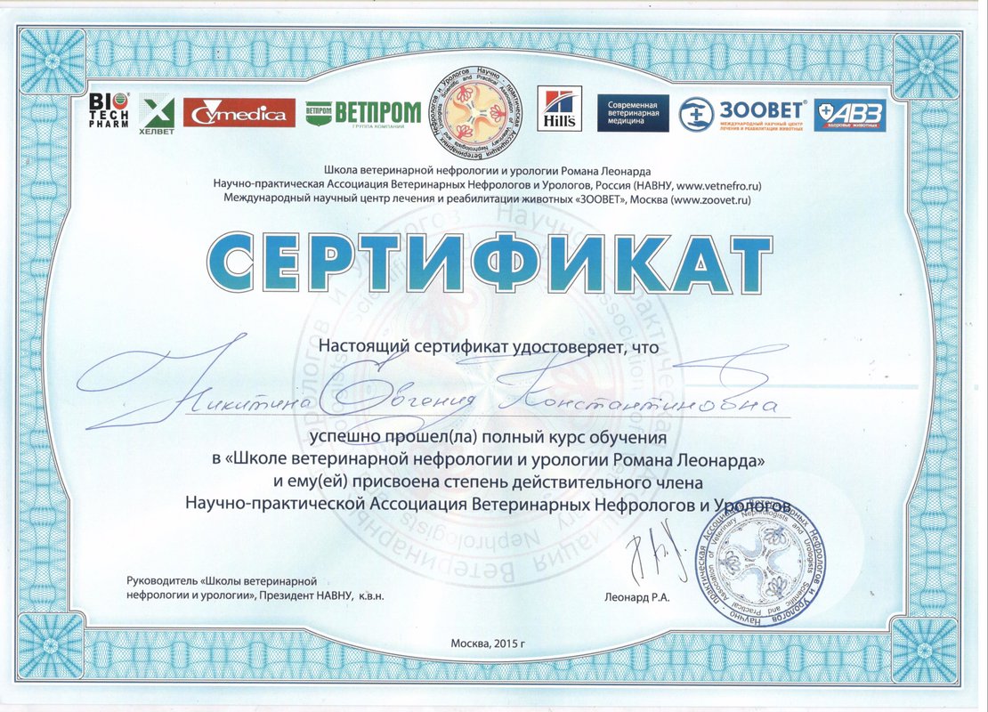 Документ или сертификат