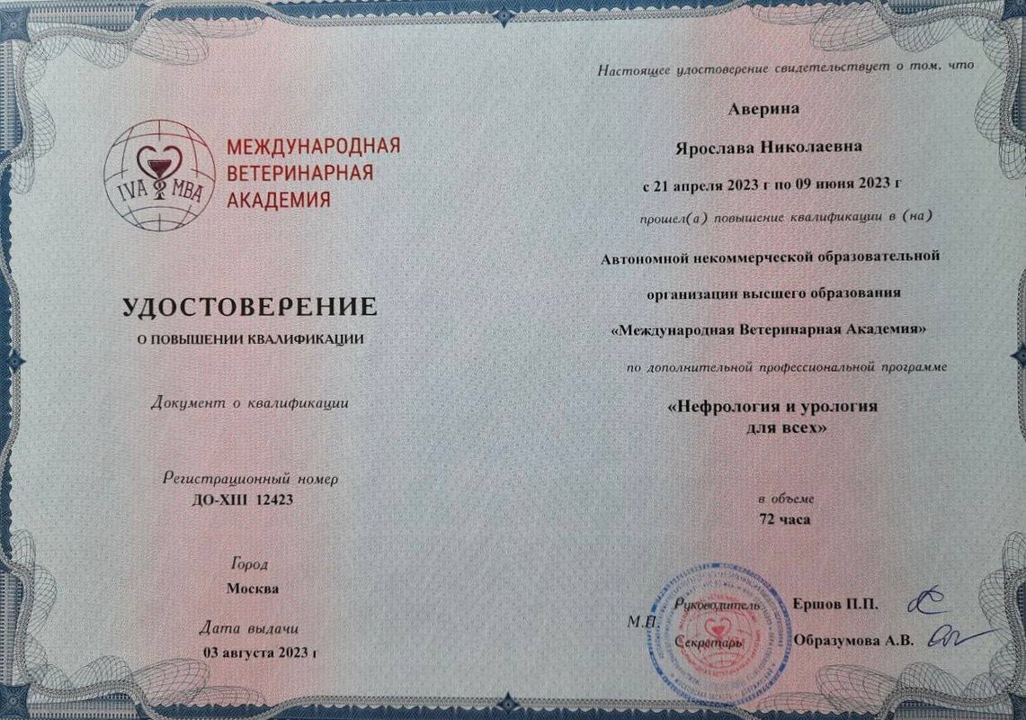 Документ или сертификат