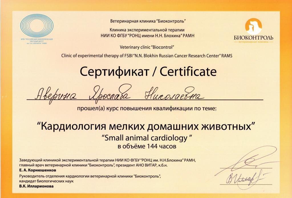 Документ или сертификат