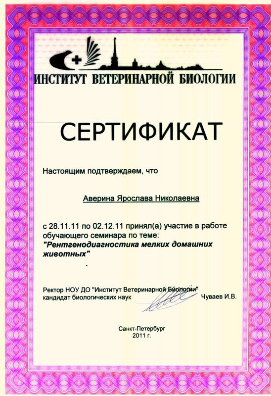 Документ или сертификат