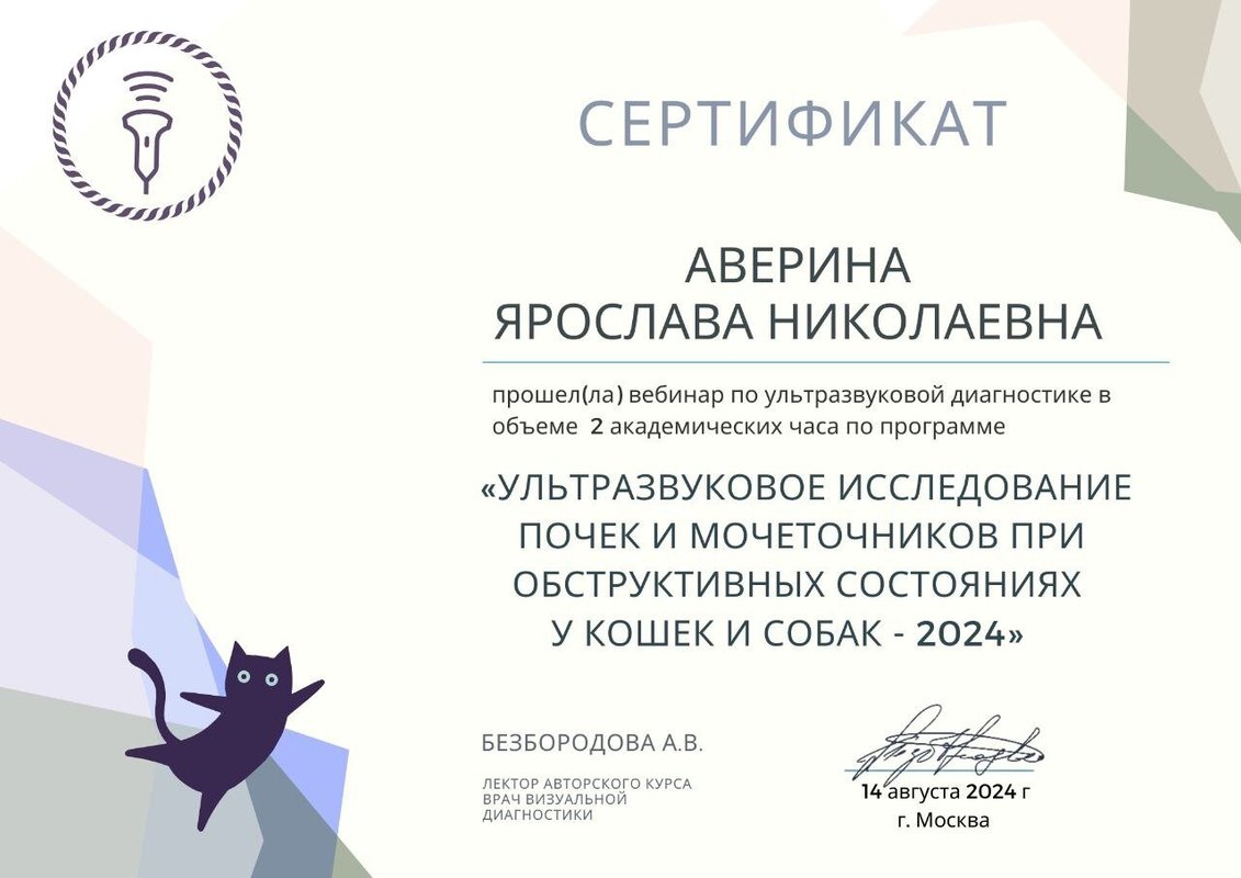 Документ или сертификат