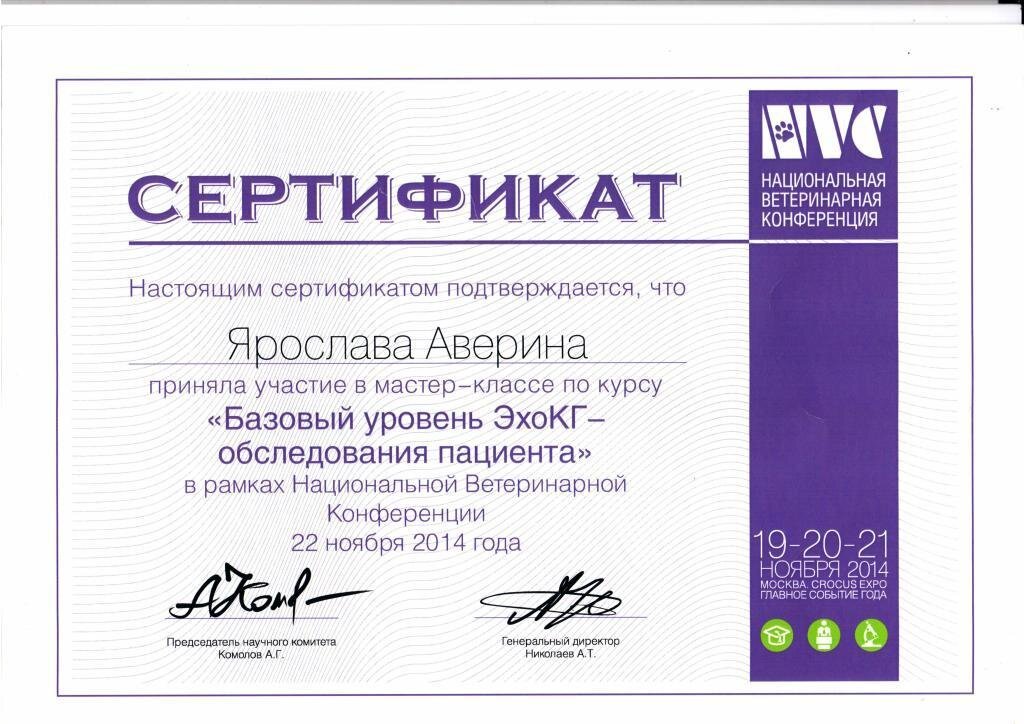 Документ или сертификат