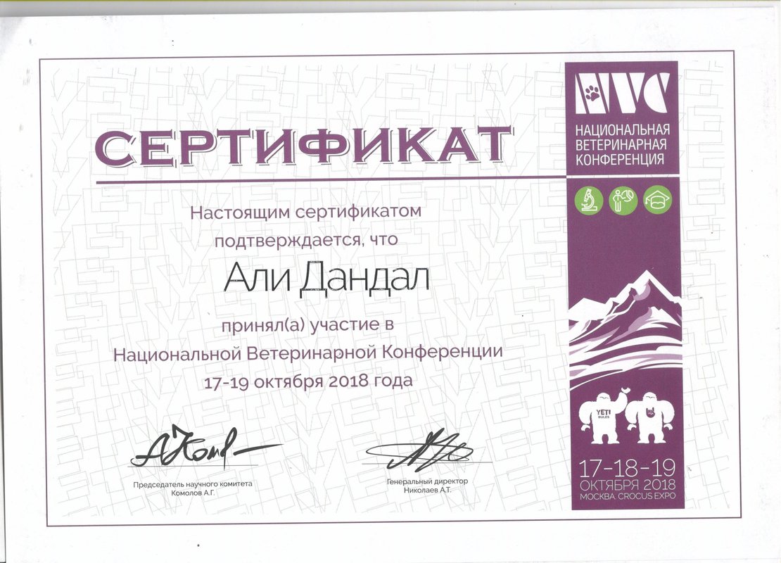 Документ или сертификат