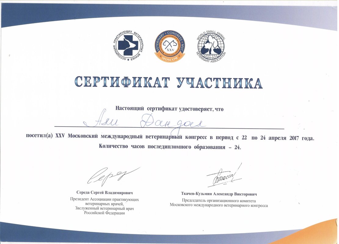 Документ или сертификат