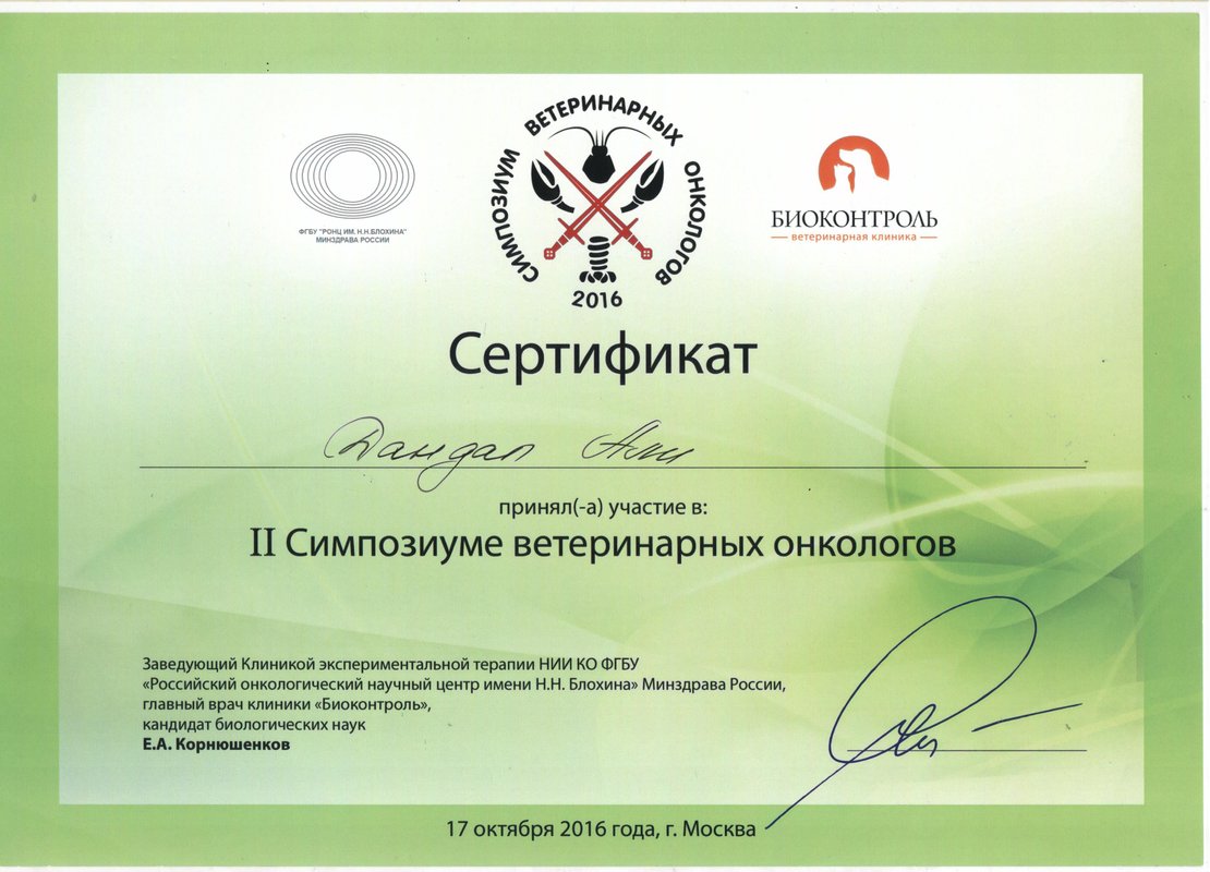 Документ или сертификат