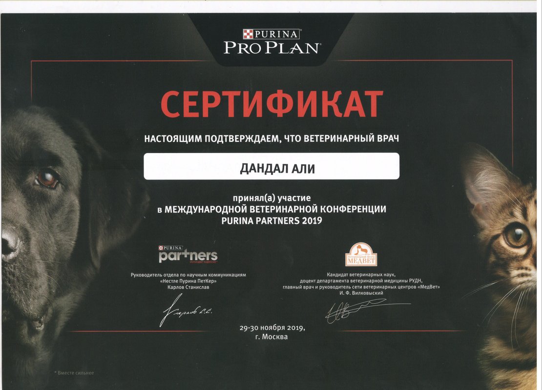 Документ или сертификат