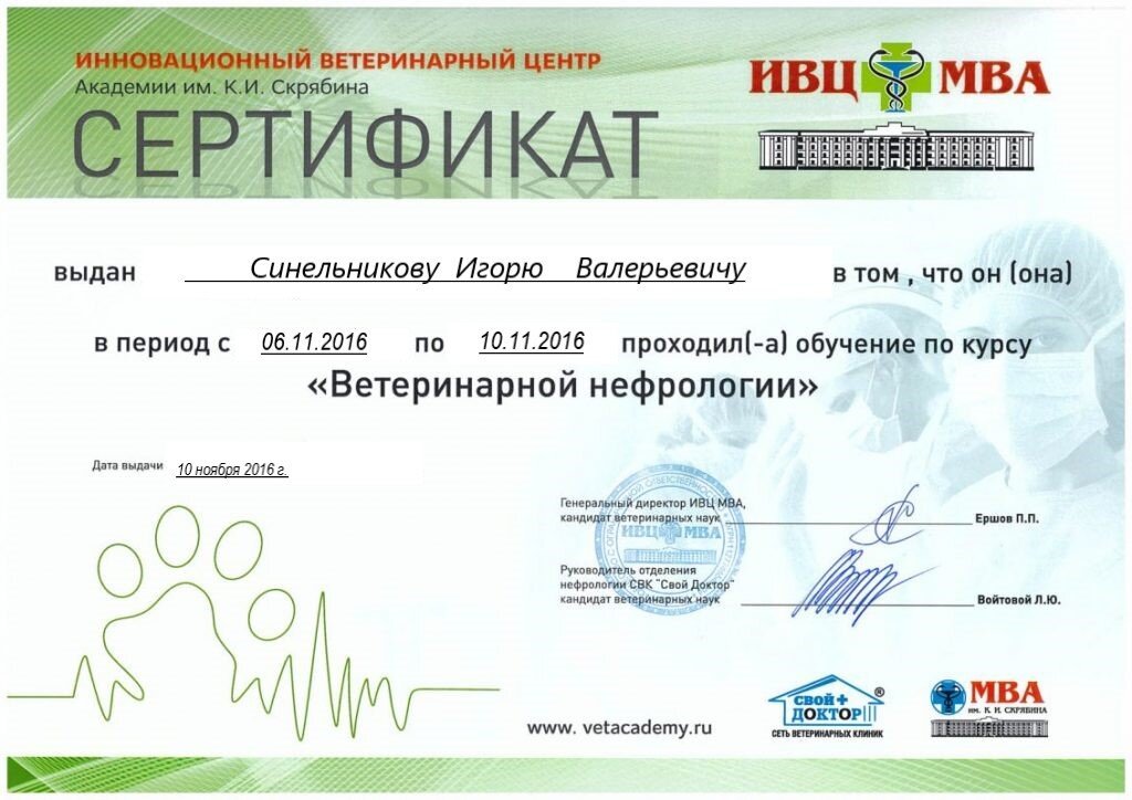 Документ или сертификат
