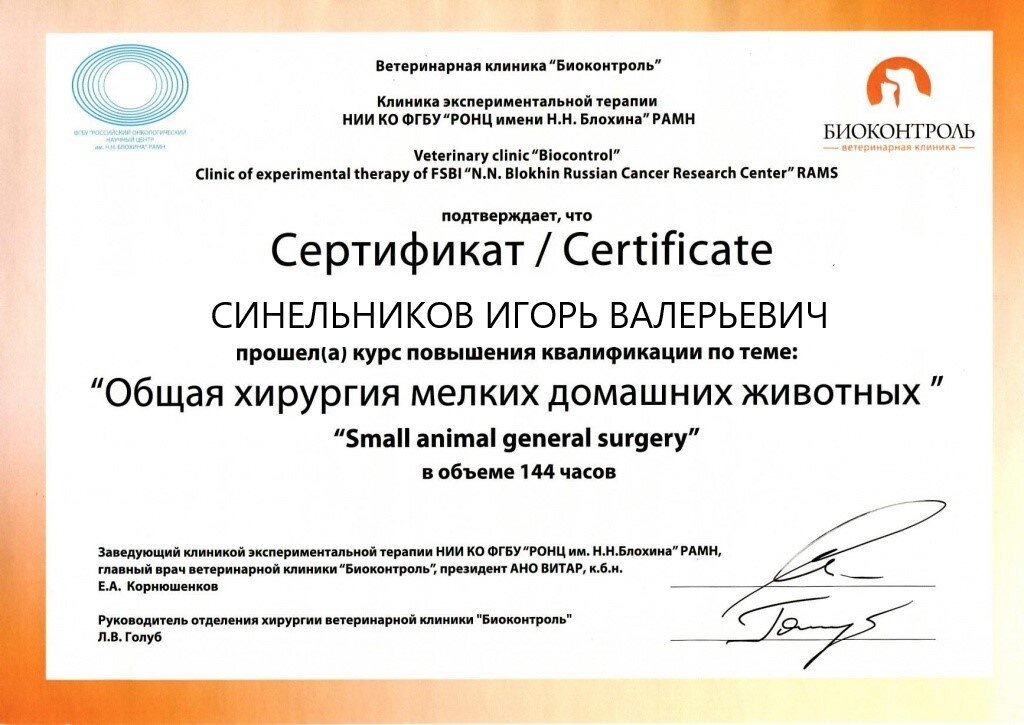 Документ или сертификат