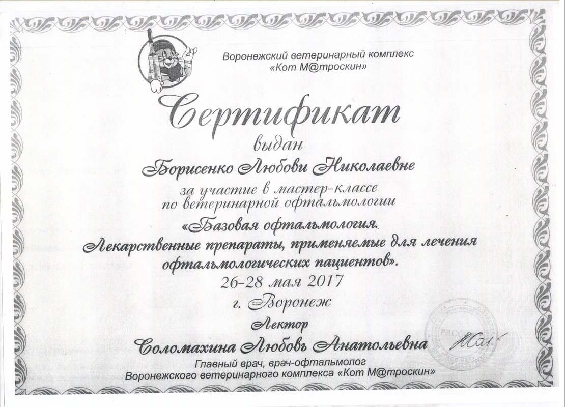 Документ или сертификат