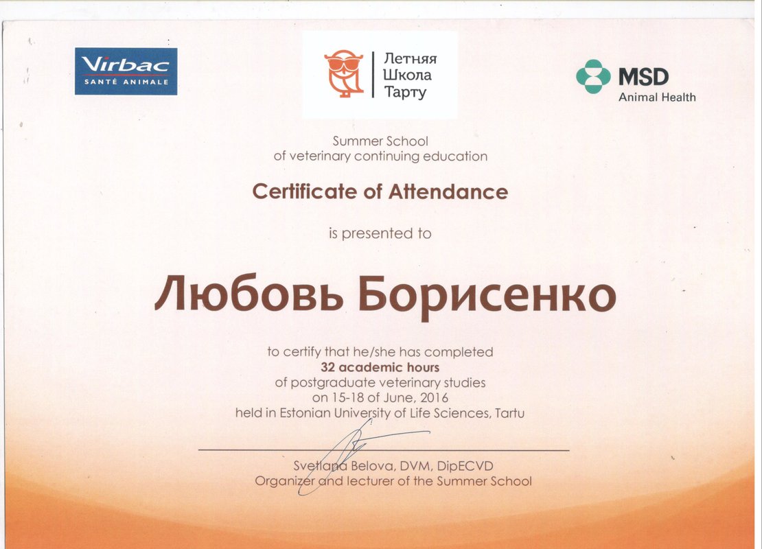 Документ или сертификат