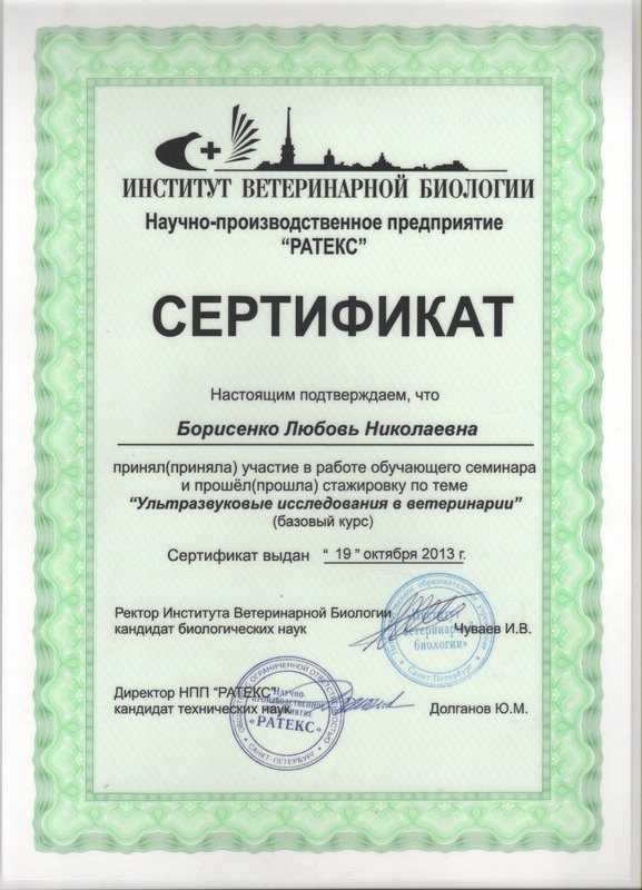 Документ или сертификат