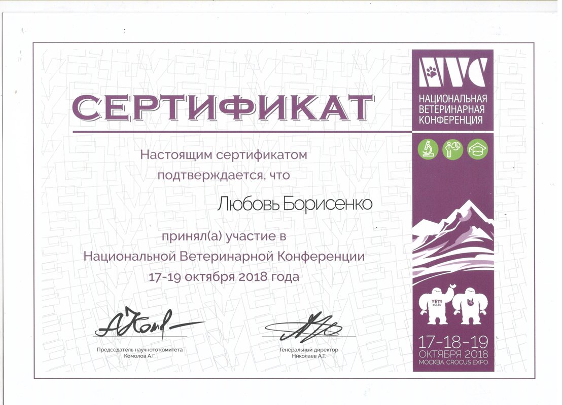 Документ или сертификат