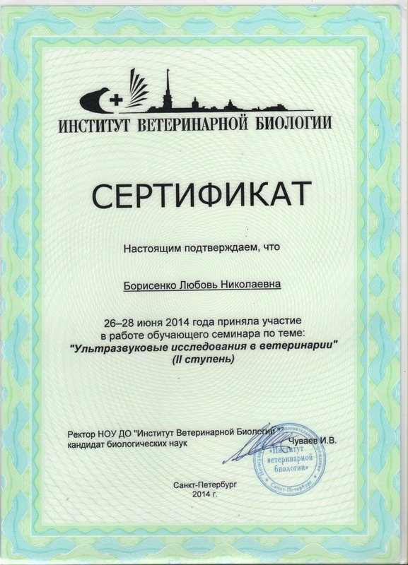 Документ или сертификат