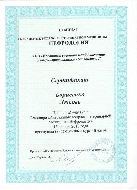 Документ или сертификат