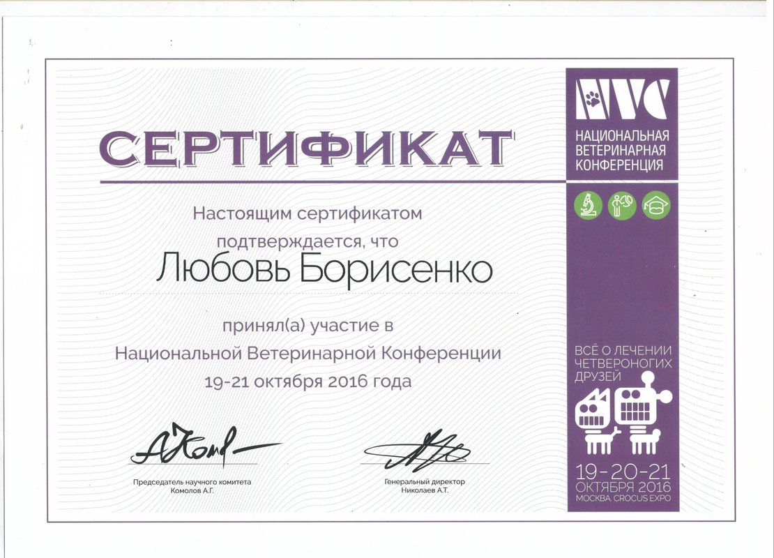 Документ или сертификат