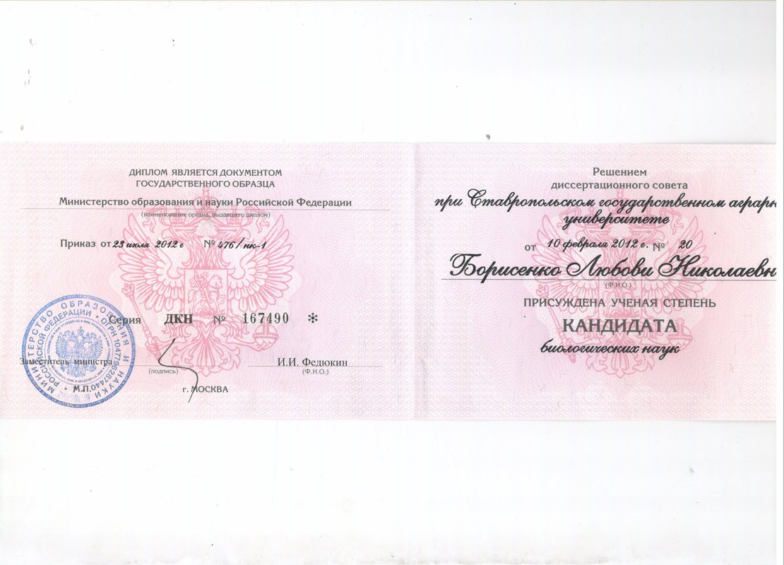 Документ или сертификат