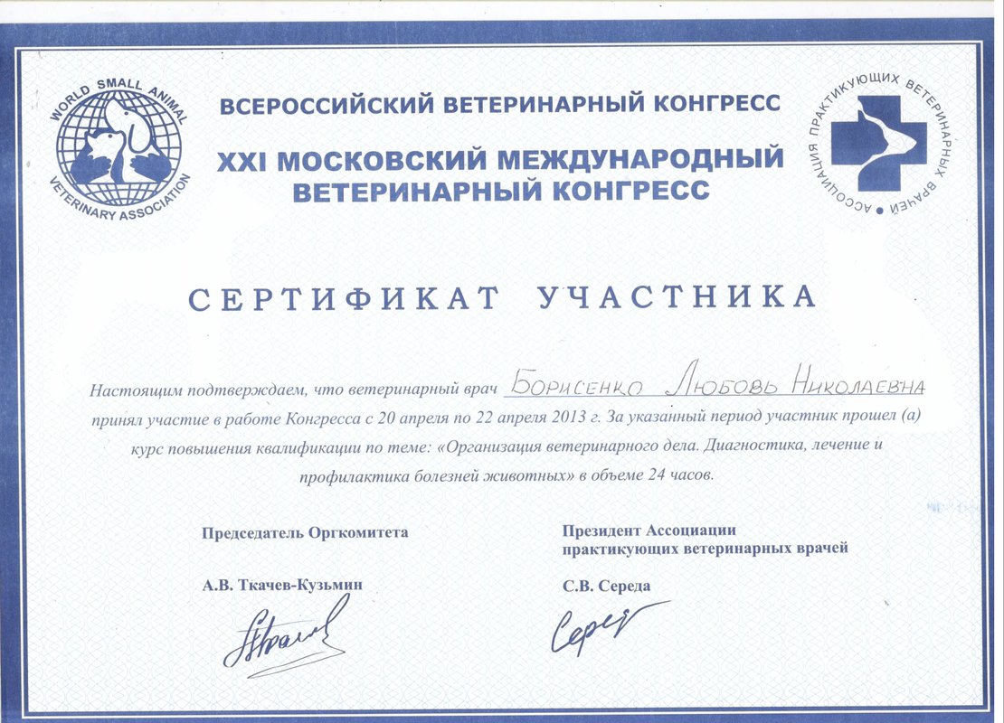 Документ или сертификат