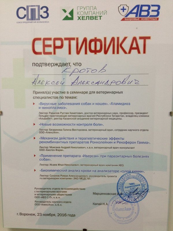 Документ или сертификат