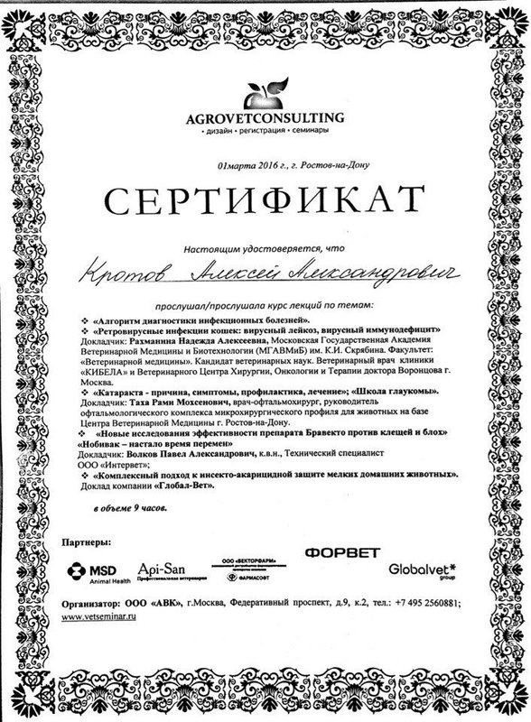 Документ или сертификат