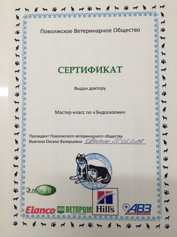 Документ или сертификат