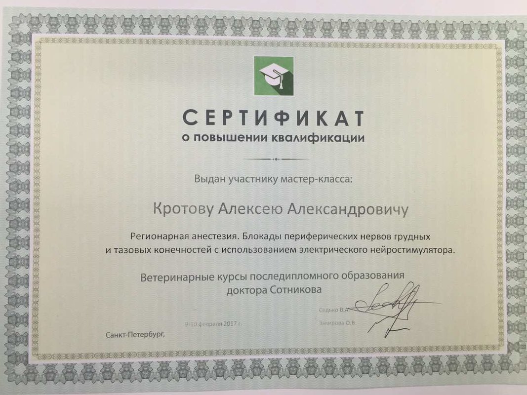 Документ или сертификат