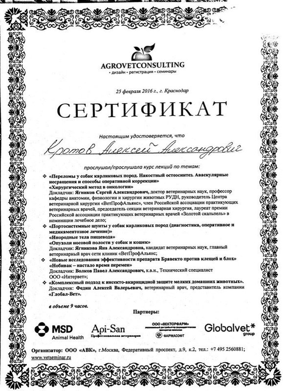 Документ или сертификат