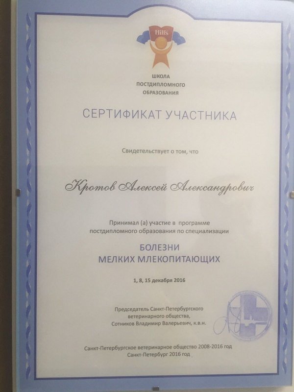Документ или сертификат
