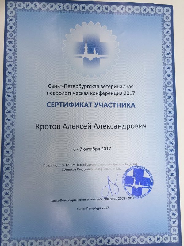 Документ или сертификат