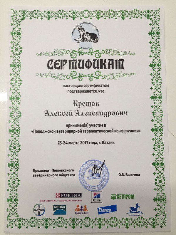 Документ или сертификат
