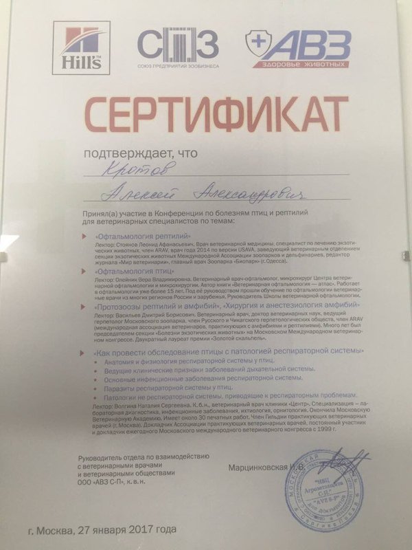 Документ или сертификат