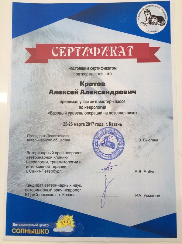 Документ или сертификат