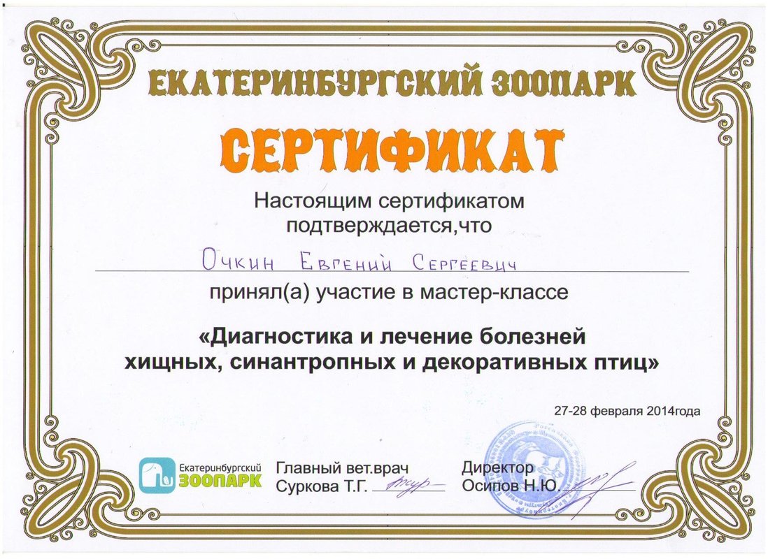 Документ или сертификат