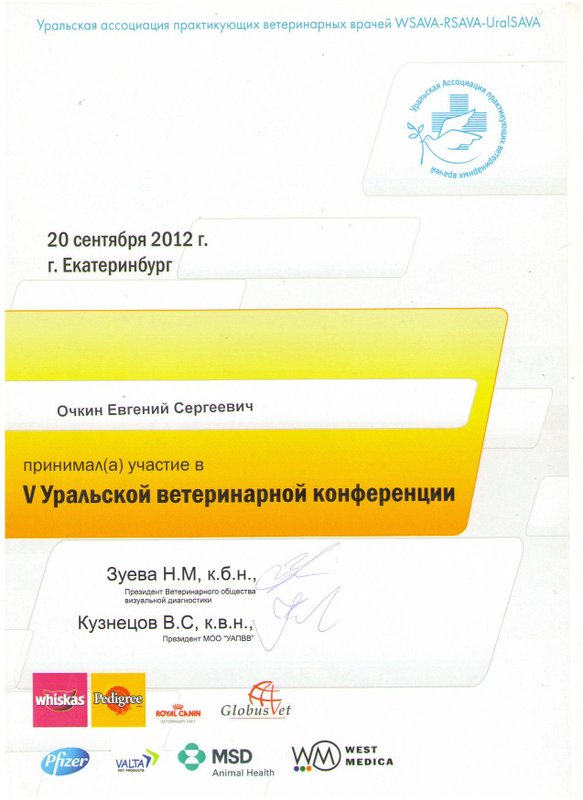 Документ или сертификат