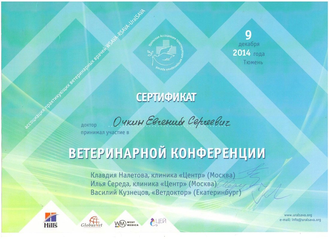 Документ или сертификат