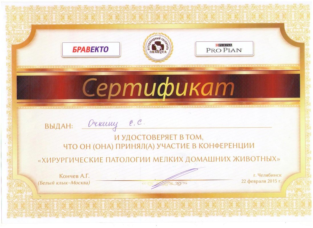 Документ или сертификат