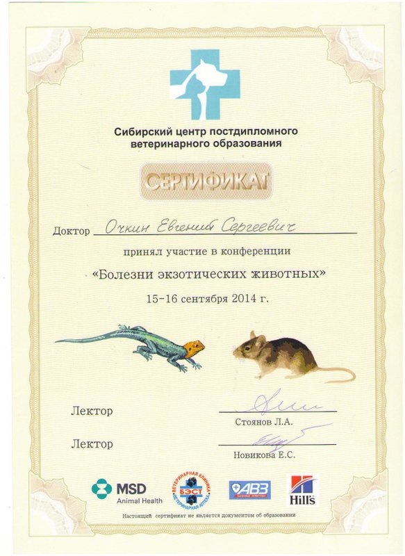 Документ или сертификат