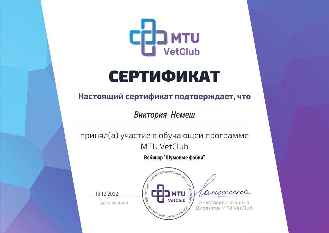 Документ или сертификат