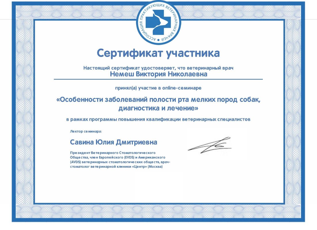 Документ или сертификат