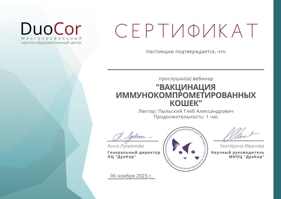 Документ или сертификат