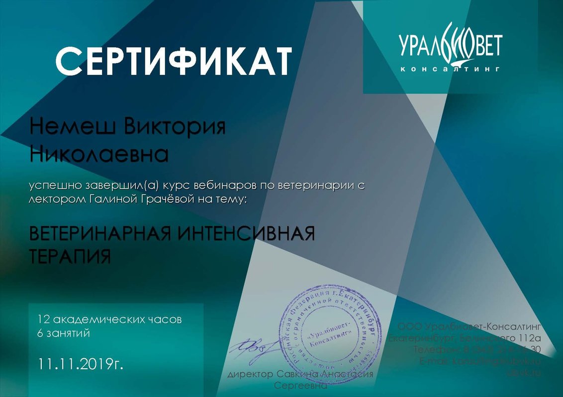 Документ или сертификат