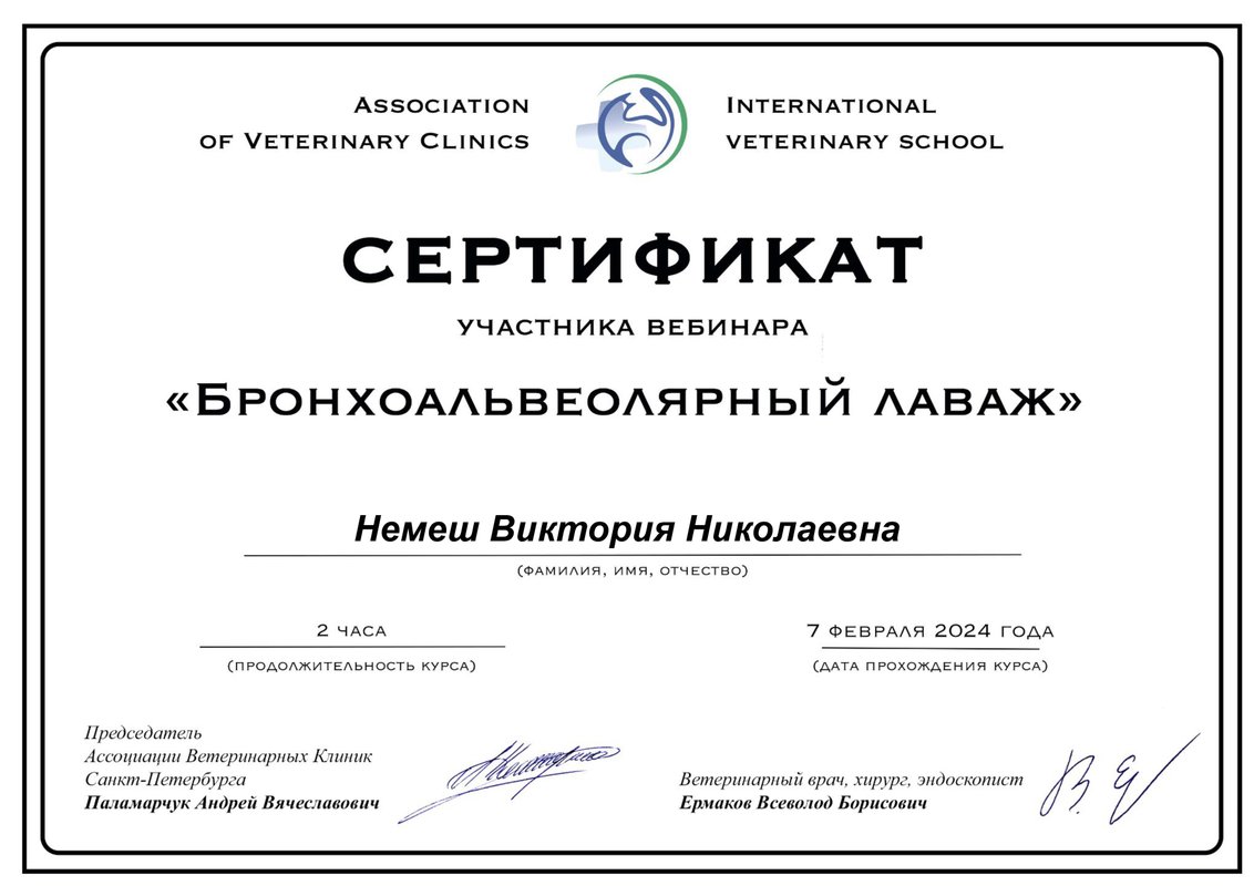 Документ или сертификат