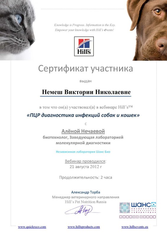 Документ или сертификат