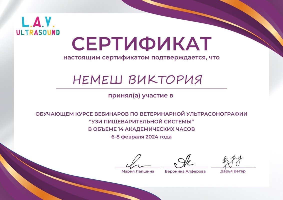 Документ или сертификат