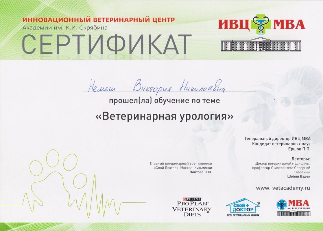 Документ или сертификат