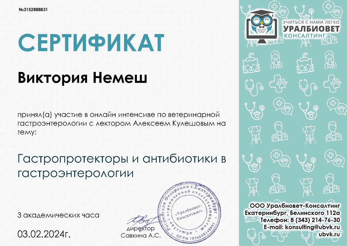 Документ или сертификат