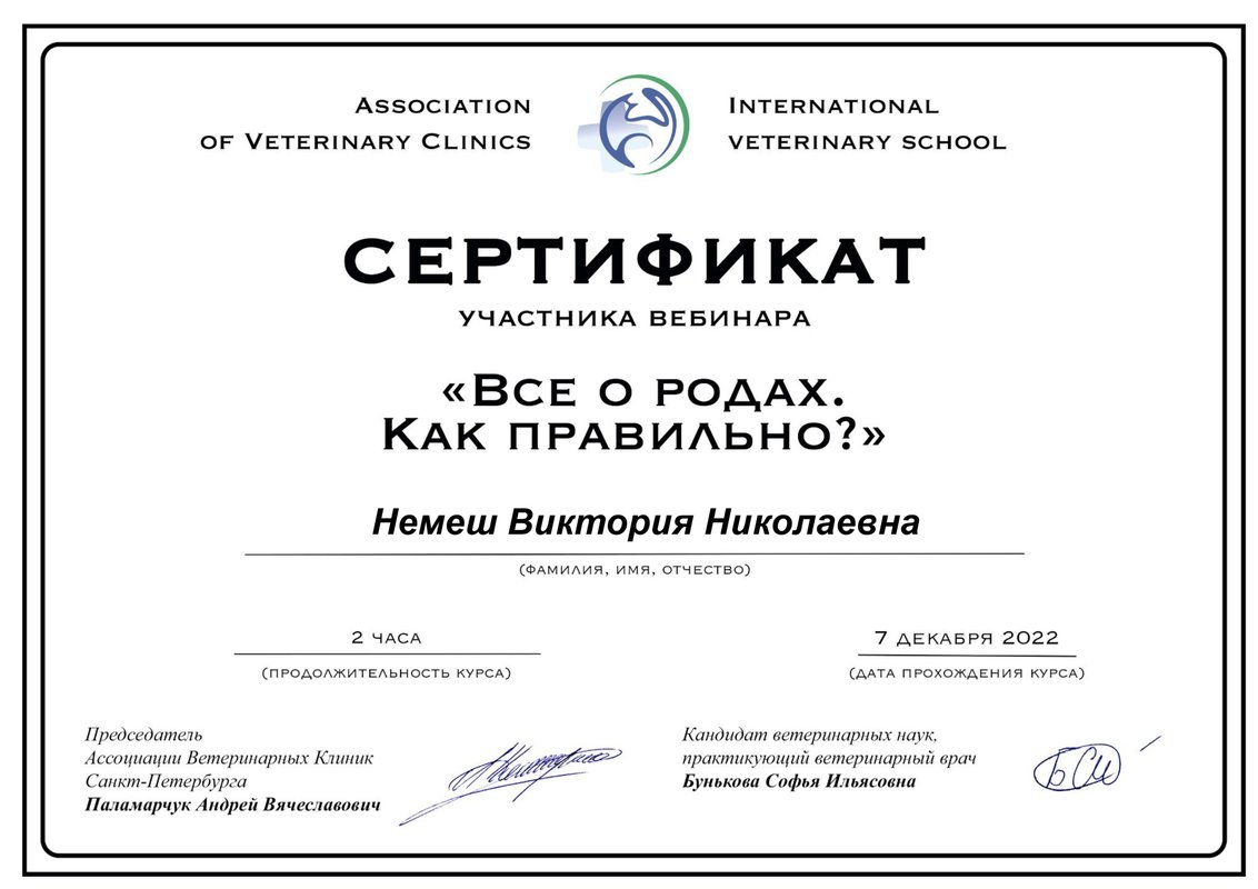Документ или сертификат