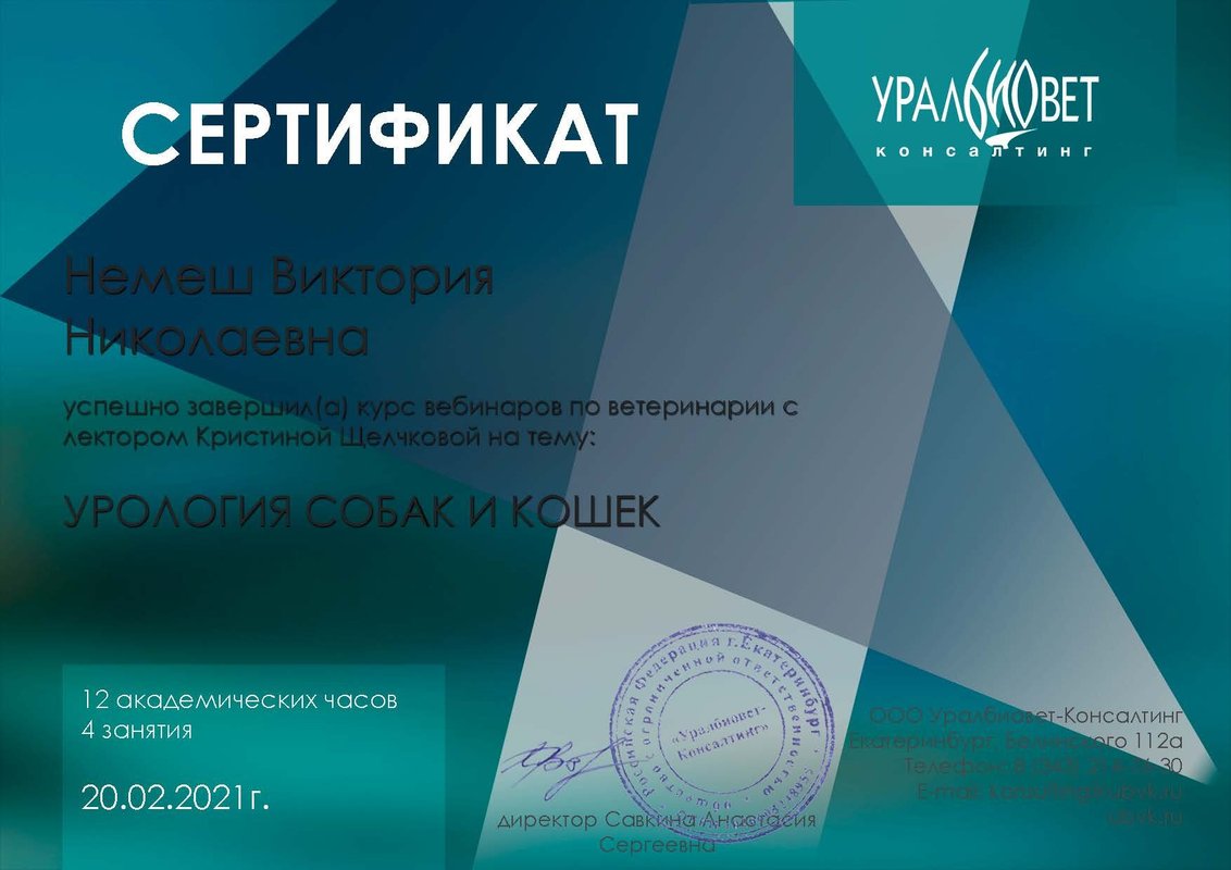 Документ или сертификат