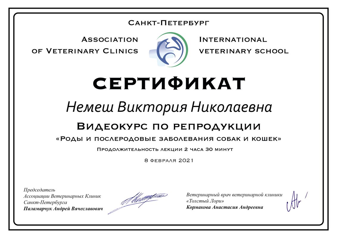 Документ или сертификат