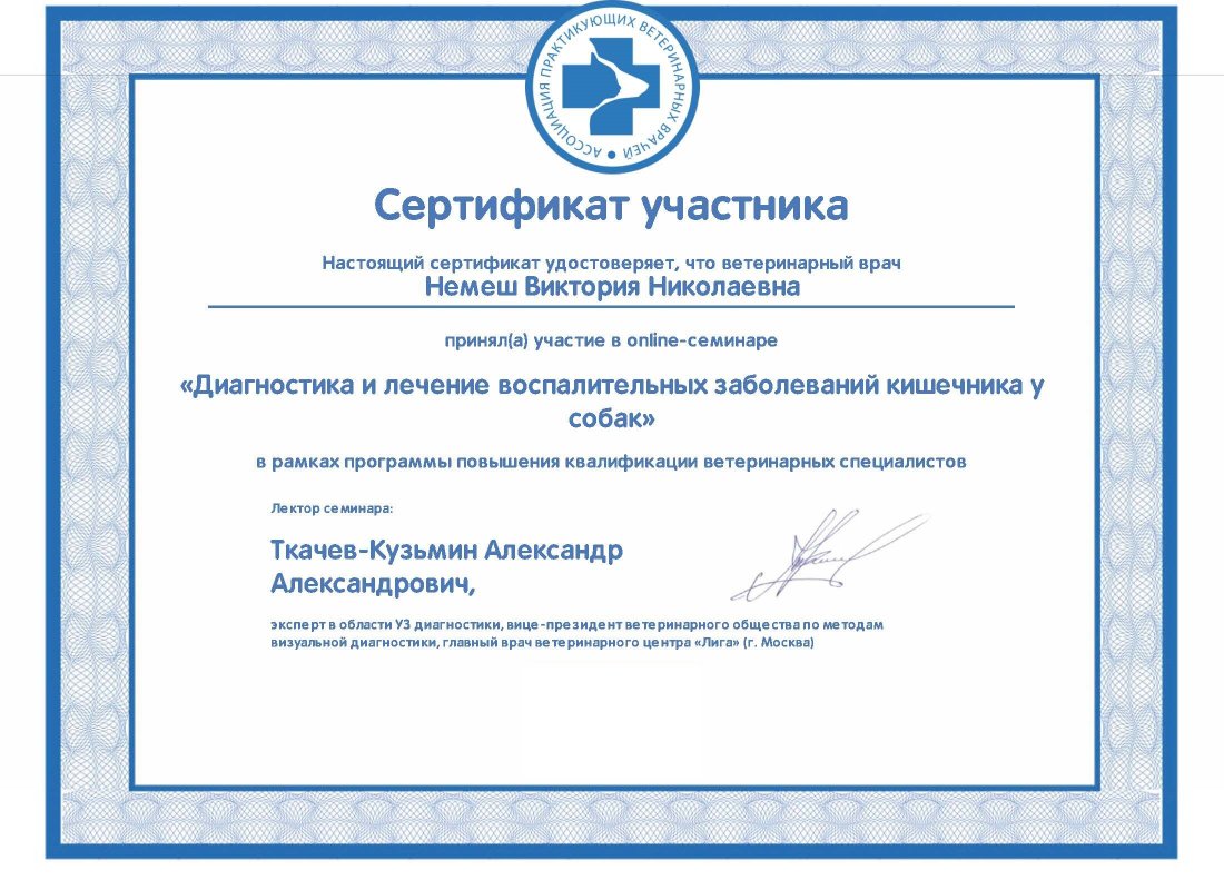 Документ или сертификат