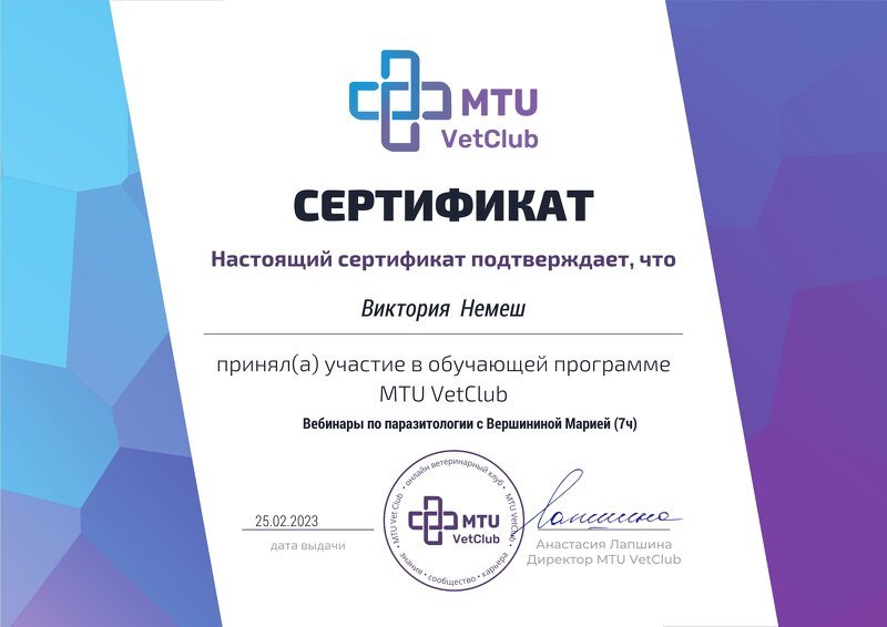 Документ или сертификат